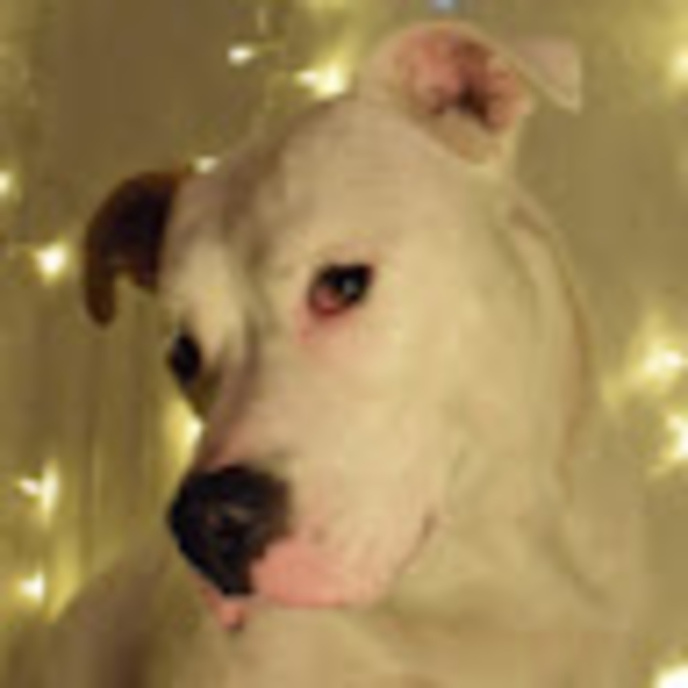 Meet your Posher, Cathy